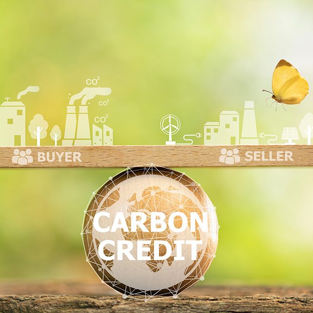 Carbon Credit is the amount of greenhouse gases reduced or stored.  and can be traded in the carbon market with organizations that want carbon credits to offset greenhouse gas emissions.